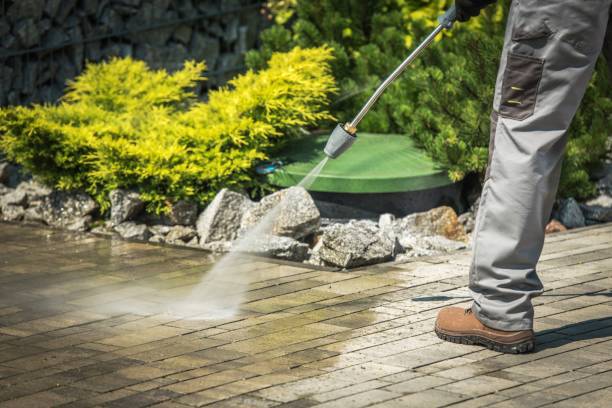 Best Soft Washing  in Litchfield, MI